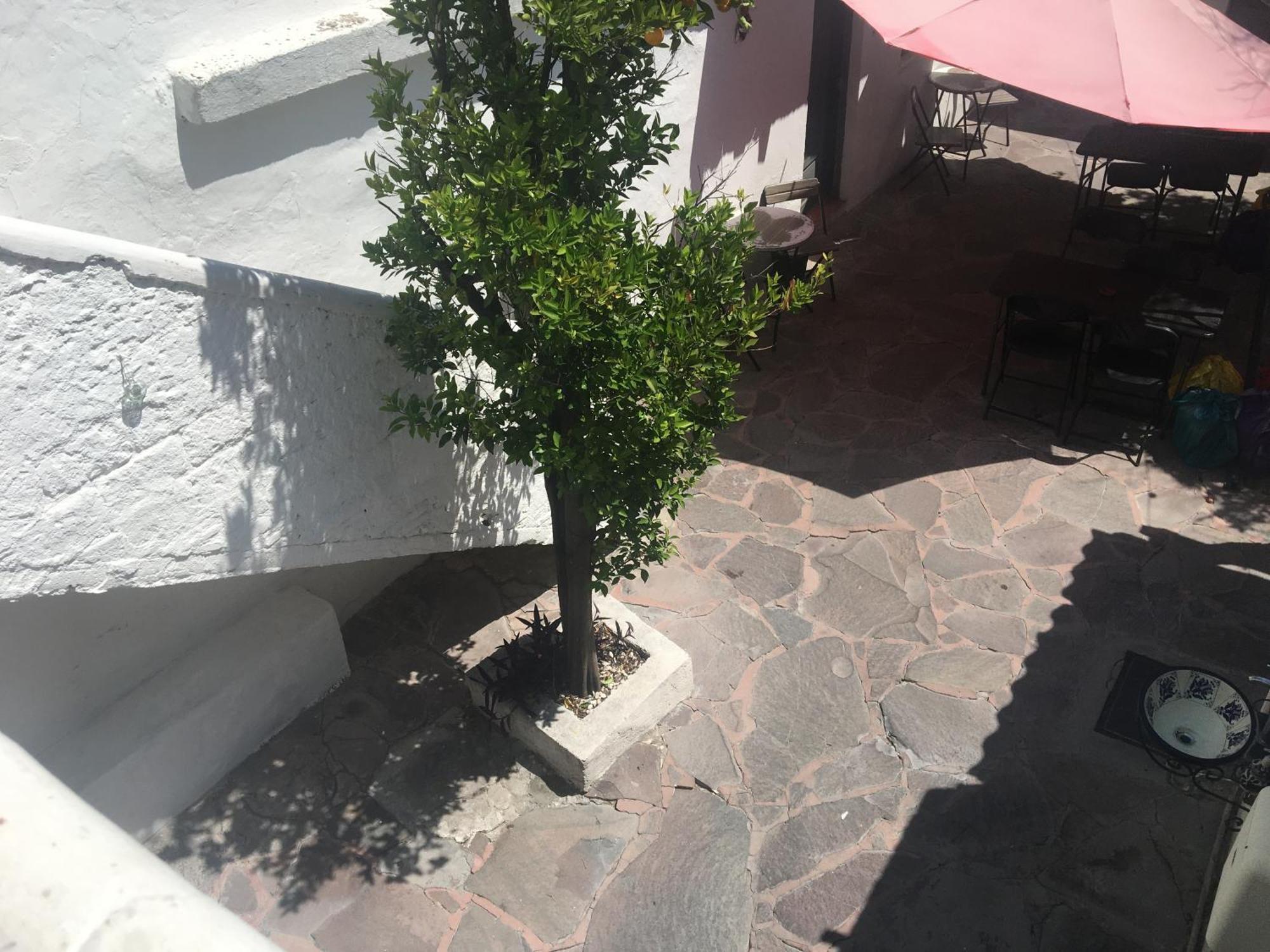 Patio Alojamiento San Miguel de Allende Extérieur photo